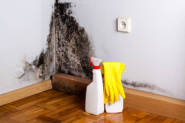 Best Residential Mold Inspection & Testing  in Booker, TX